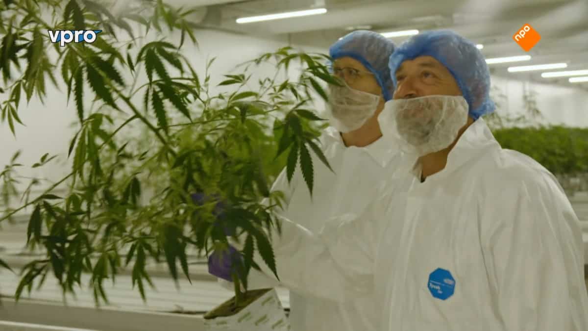 Bedrocan opent eigen cannabisonderzoekscentrum in Utrecht