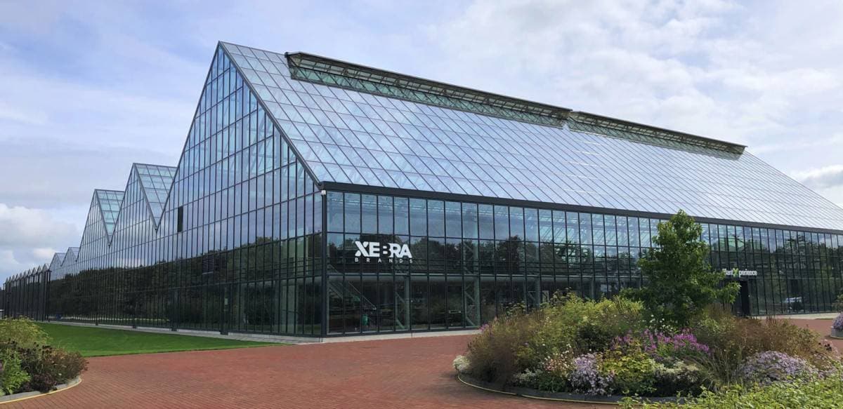 Xebra trekt zich terug uit Nederland, en daarmee de medicinale tender