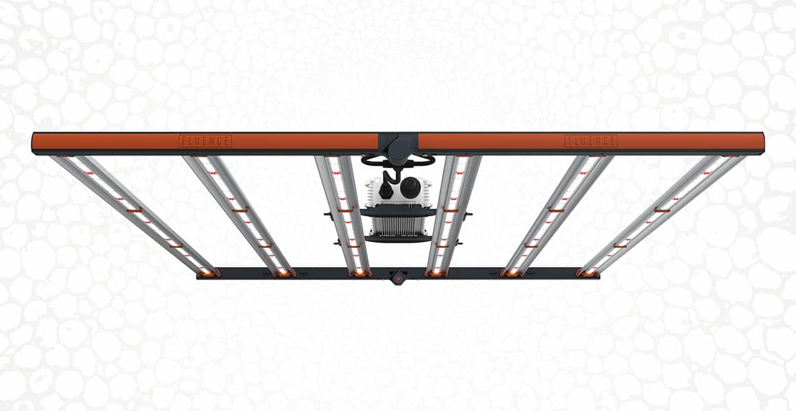 Fluence lanceert SPYDR Fang, professionele prestaties voor craft cannabisteelt