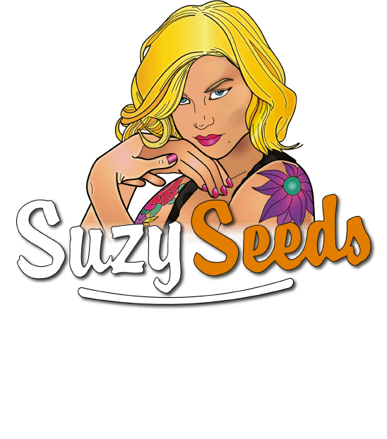 Bedrijfslogo van SuzySeeds