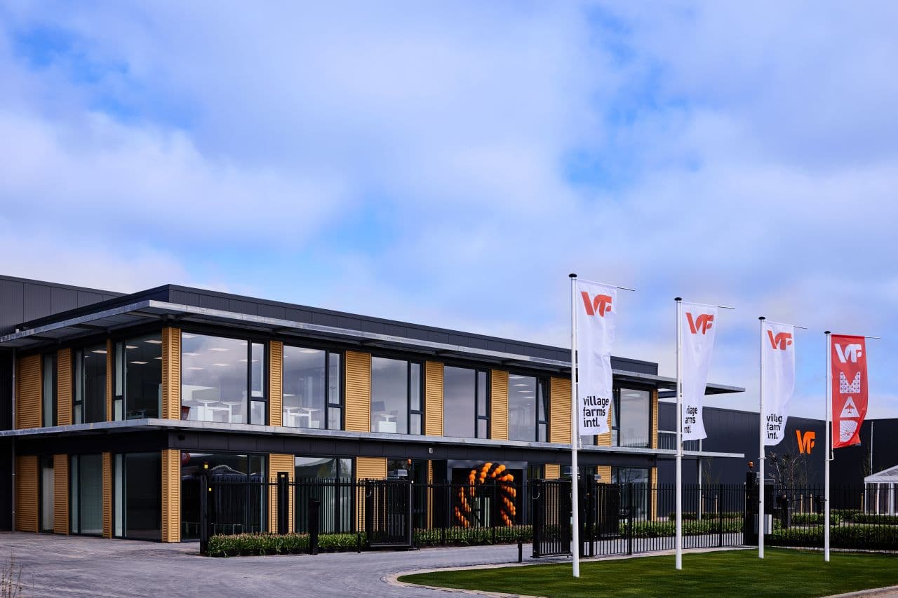 Village Farms start teelt in fase II-faciliteit in Groningen